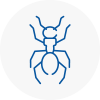 Ant Removals In Workington