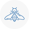 Bee Nest Removal Workington