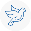 Bird Prevention Workington