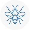 Workington Hornet Nest Removals