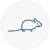 Mice Exterminators In Workington