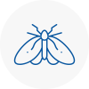 Moth Control Specialists In Workington
