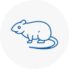 Rat Control Workington