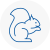 Workington Rodent Removals